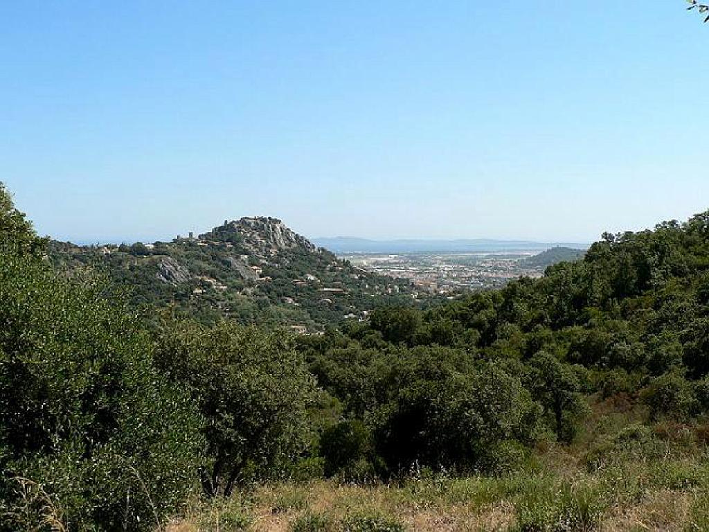183 HYERES ET SES PALMIERS D03_000050.jpg